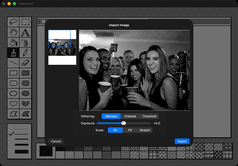 MacPaint import dialog — navigator pane with full image, detail pane showing Atkinson-dithered result at 1:1 pixel scale